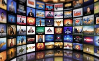 입시 콘텐츠 생산